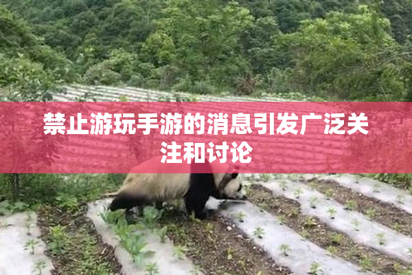 禁止游玩手游的消息引发广泛关注和讨论