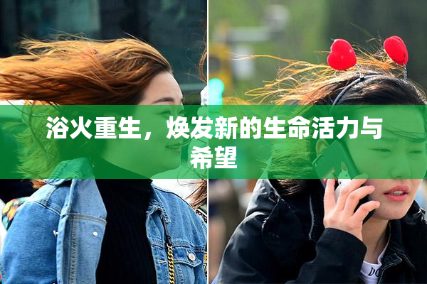 浴火重生，焕发新的生命活力与希望