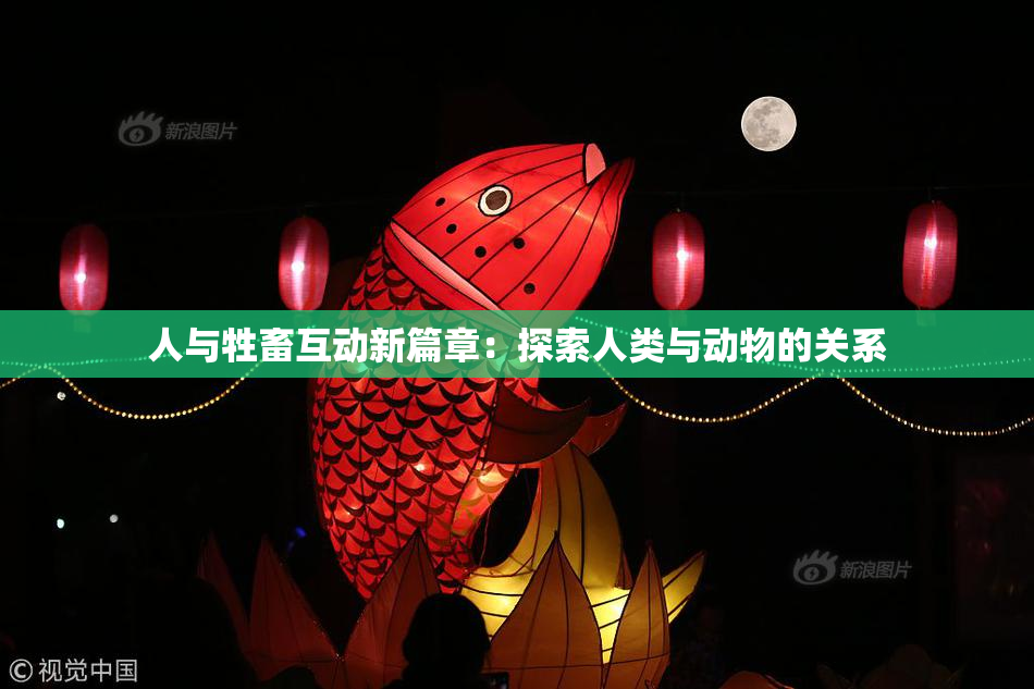 人与牲畜互动新篇章：探索人类与动物的关系