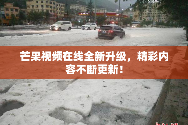 芒果视频在线全新升级，精彩内容不断更新！