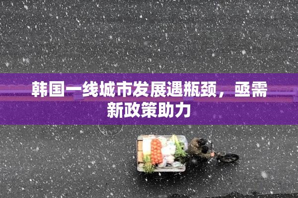 韩国一线城市发展遇瓶颈，亟需新政策助力