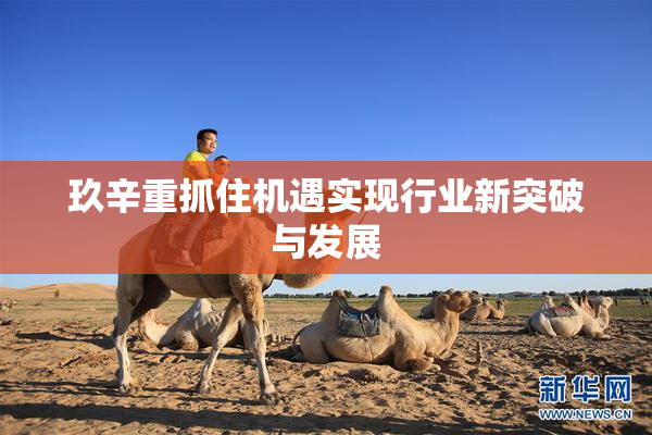 玖辛重抓住机遇实现行业新突破与发展