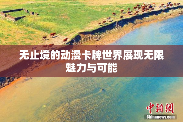 无止境的动漫卡牌世界展现无限魅力与可能