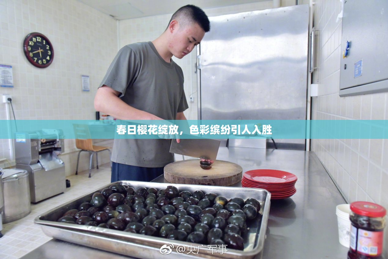 春日樱花绽放，色彩缤纷引人入胜