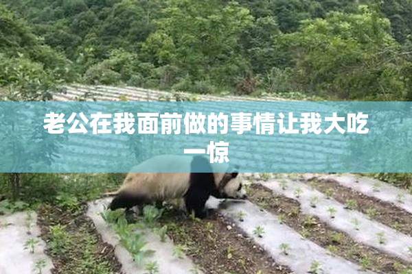 老公在我面前做的事情让我大吃一惊
