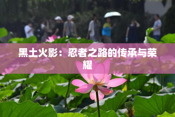 黑土火影：忍者之路的传承与荣耀