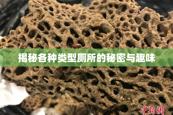 揭秘各种类型厕所的秘密与趣味
