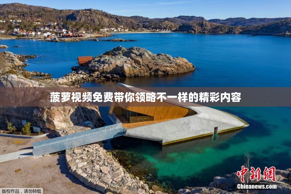 菠萝视频免费带你领略不一样的精彩内容