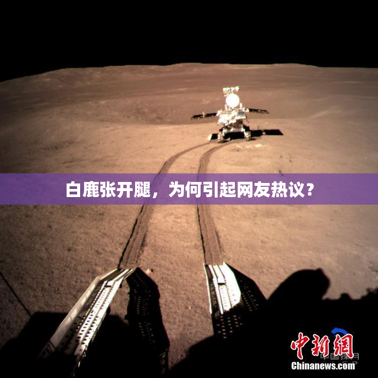 白鹿张开腿，为何引起网友热议？