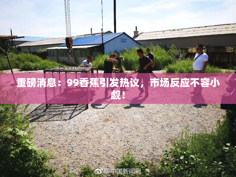 重磅消息：99香蕉引发热议，市场反应不容小觑！