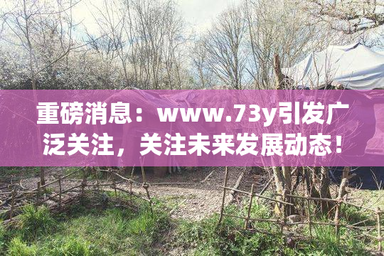 重磅消息：www.73y引发广泛关注，关注未来发展动态！