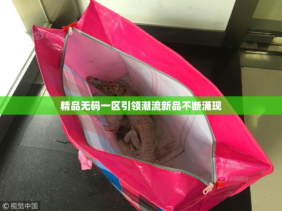 精品无码一区引领潮流新品不断涌现