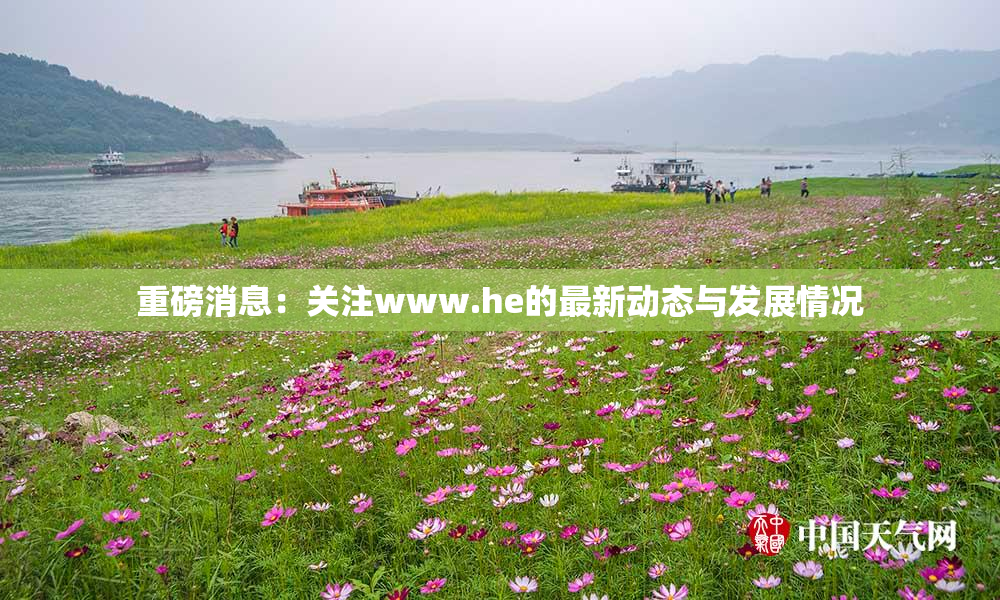 重磅消息：关注www.he的最新动态与发展情况