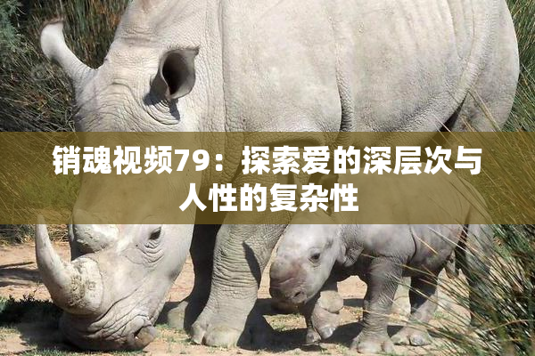 销魂视频79：探索爱的深层次与人性的复杂性