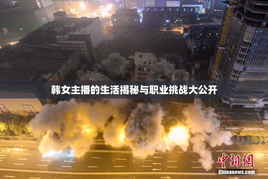 韩女主播的生活揭秘与职业挑战大公开
