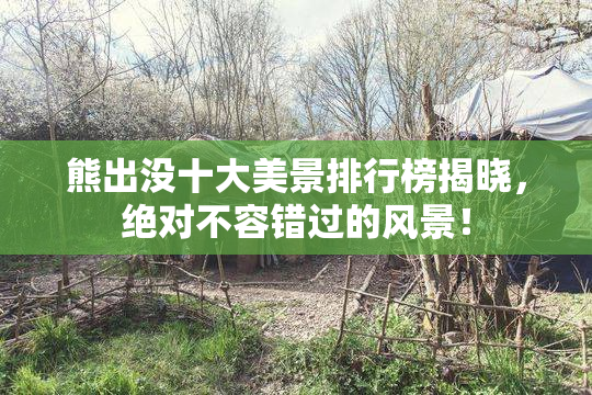 熊出没十大美景排行榜揭晓，绝对不容错过的风景！