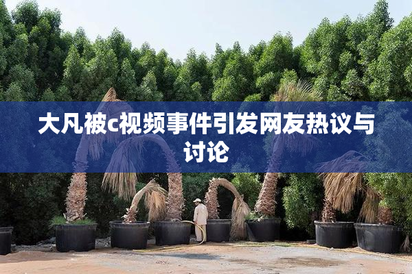 大凡被c视频事件引发网友热议与讨论