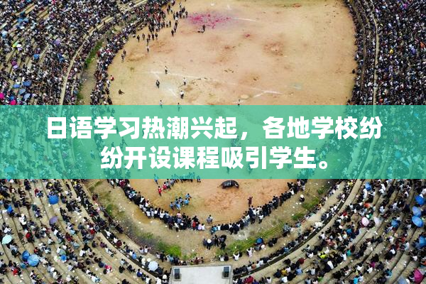 日语学习热潮兴起，各地学校纷纷开设课程吸引学生。