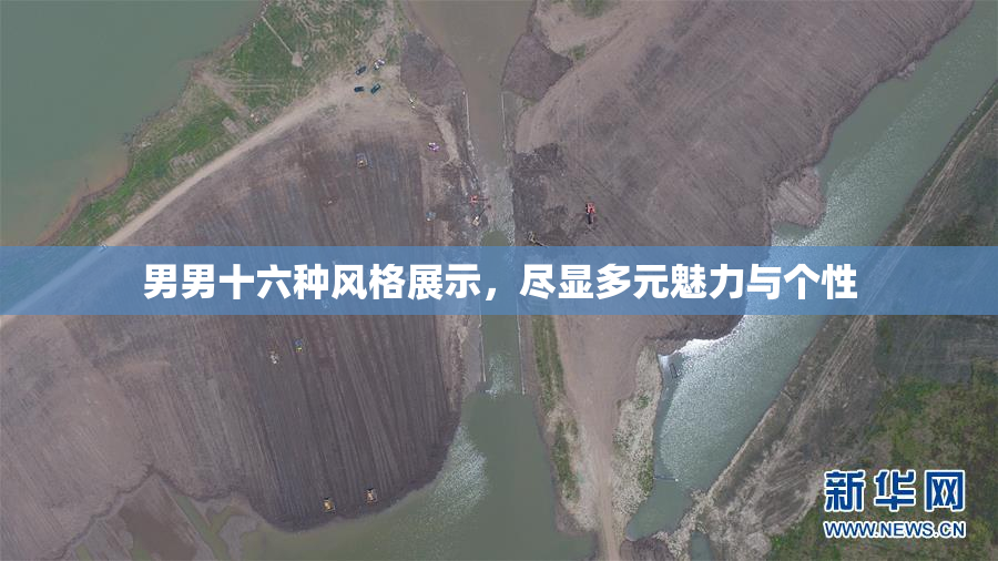 男男十六种风格展示，尽显多元魅力与个性