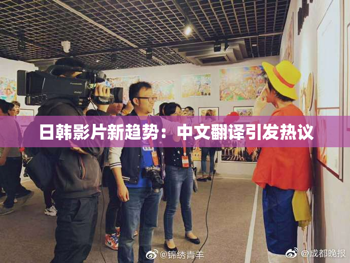 日韩影片新趋势：中文翻译引发热议