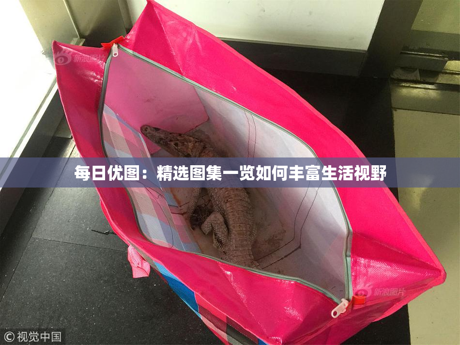 每日优图：精选图集一览如何丰富生活视野