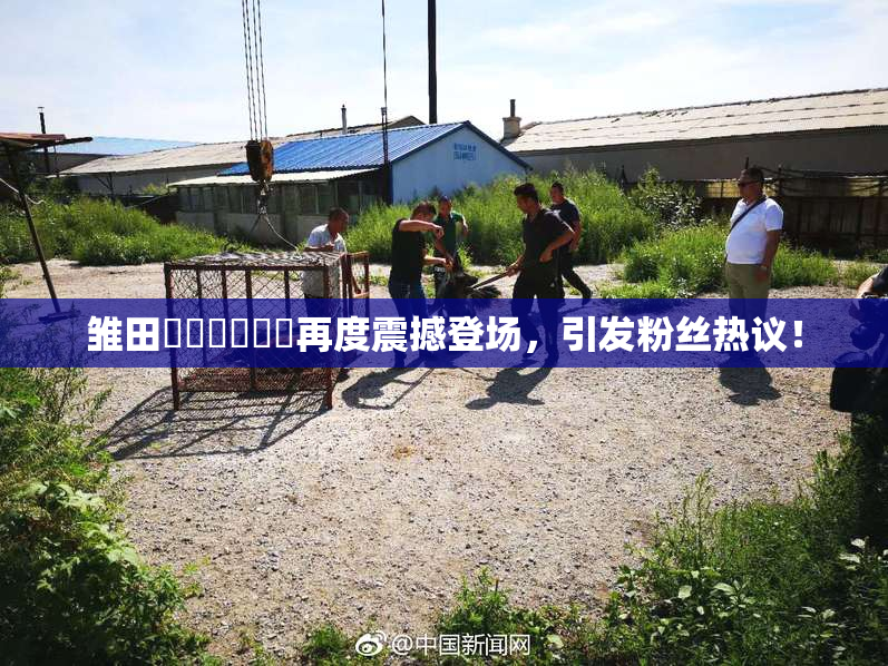 雏田❌‌❌‌❌‌再度震撼登场，引发粉丝热议！