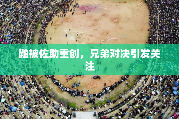 鼬被佐助重创，兄弟对决引发关注