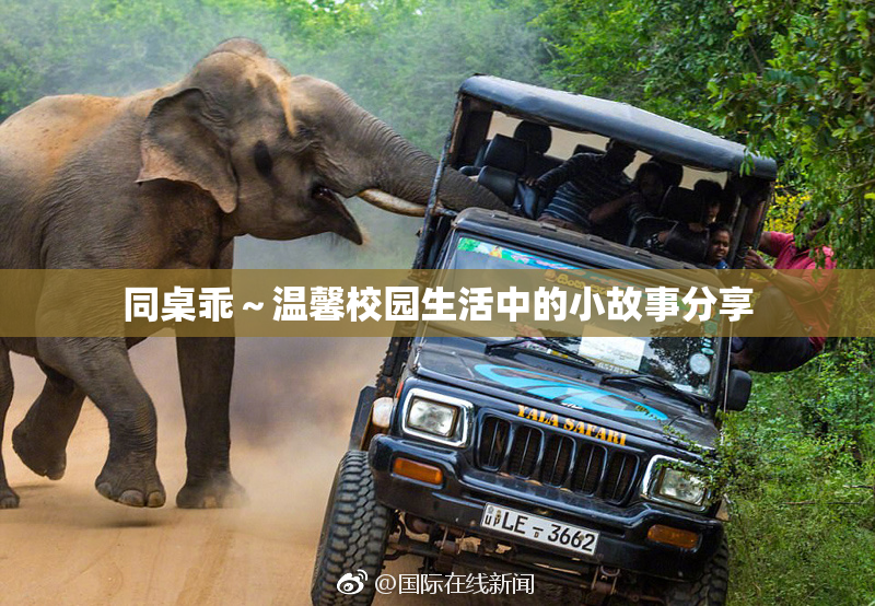 同桌乖～温馨校园生活中的小故事分享