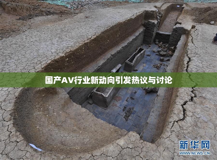 国产AV行业新动向引发热议与讨论