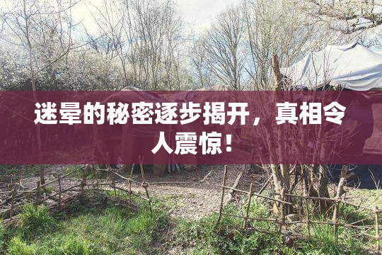 迷晕的秘密逐步揭开，真相令人震惊！
