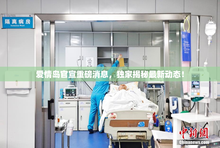 爱情岛官宣重磅消息，独家揭秘最新动态！