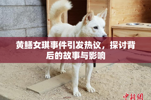 黄鳝女琪事件引发热议，探讨背后的故事与影响