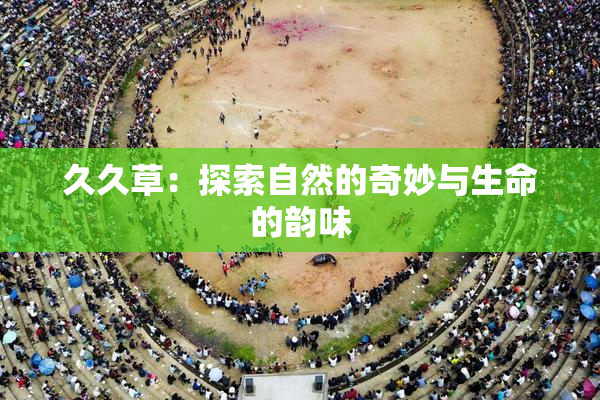 久久草：探索自然的奇妙与生命的韵味