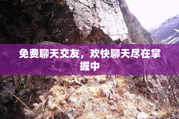 免费聊天交友，欢快聊天尽在掌握中
