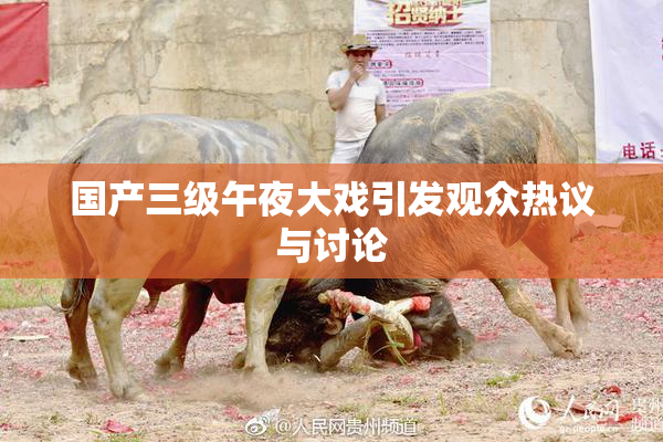 国产三级午夜大戏引发观众热议与讨论