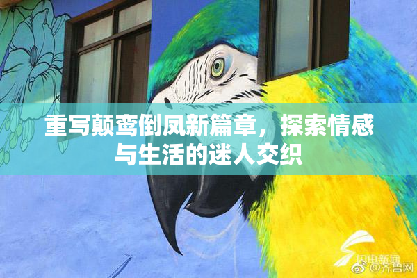重写颠鸾倒凤新篇章，探索情感与生活的迷人交织