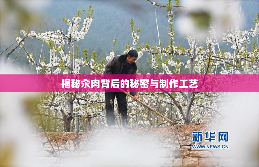 揭秘汆肉背后的秘密与制作工艺