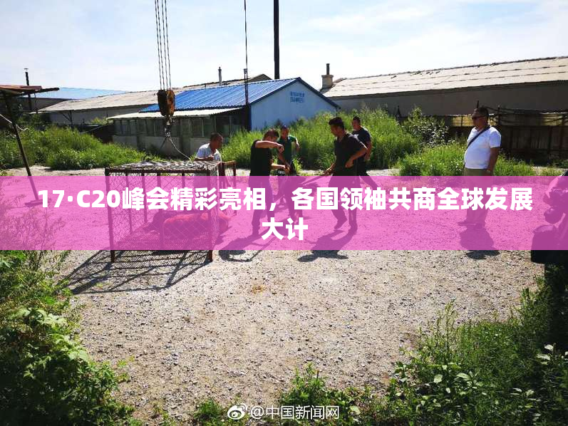17·C20峰会精彩亮相，各国领袖共商全球发展大计
