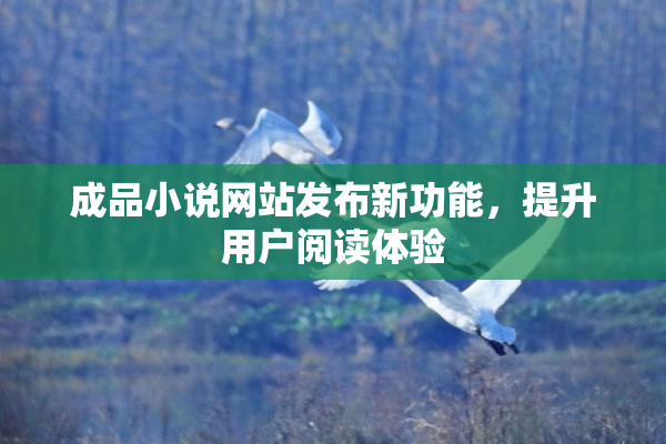 成品小说网站发布新功能，提升用户阅读体验