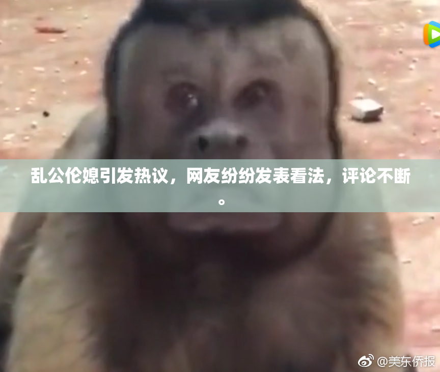 乱公伦媳引发热议，网友纷纷发表看法，评论不断。