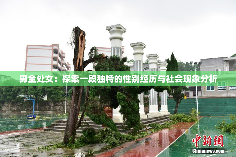 男全处女：探索一段独特的性别经历与社会现象分析