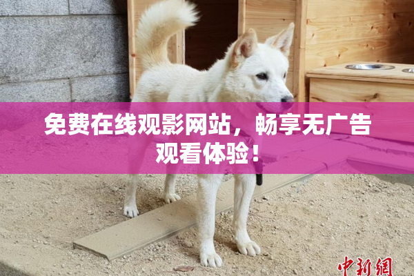 免费在线观影网站，畅享无广告观看体验！