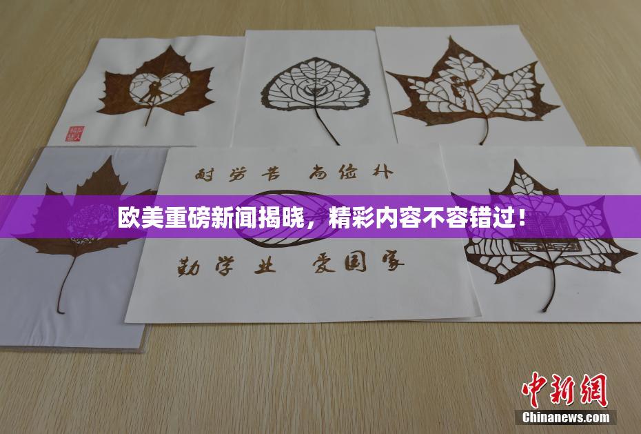 欧美重磅新闻揭晓，精彩内容不容错过！