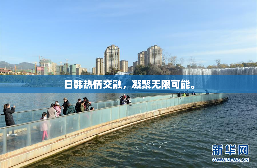 日韩热情交融，凝聚无限可能。