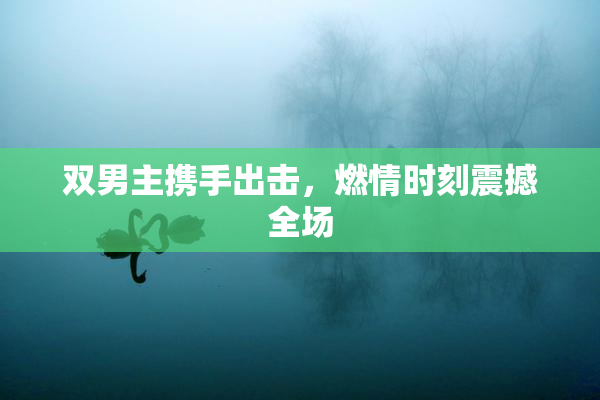 双男主携手出击，燃情时刻震撼全场