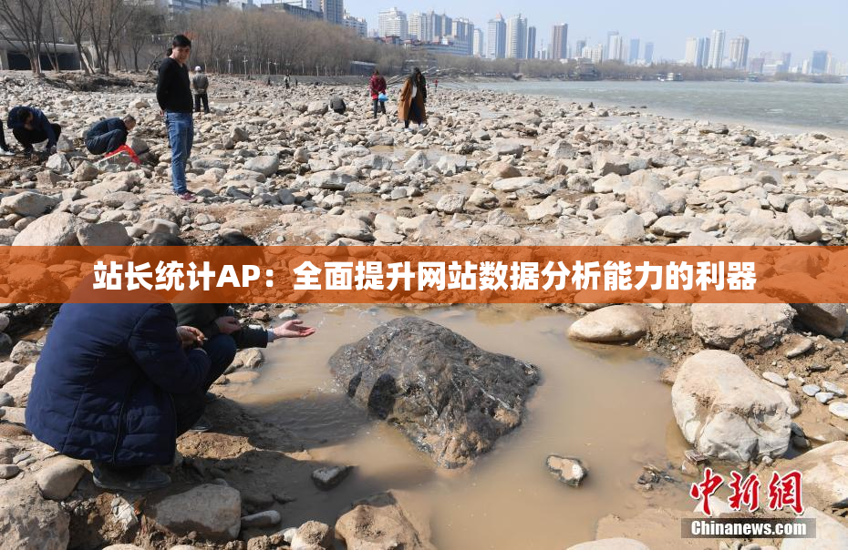 站长统计AP：全面提升网站数据分析能力的利器