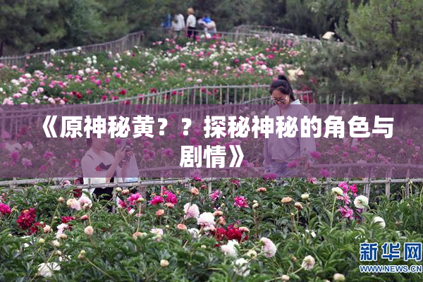 《原神秘黄？？探秘神秘的角色与剧情》