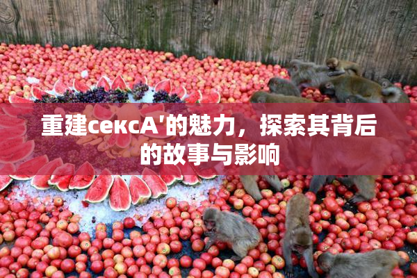 重建сексA′的魅力，探索其背后的故事与影响
