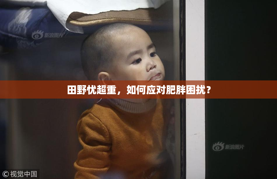 田野忧超重，如何应对肥胖困扰？