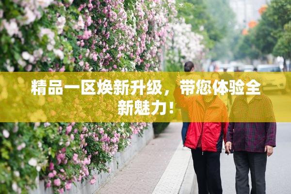 精品一区焕新升级，带您体验全新魅力！